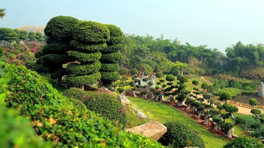 Eco-Friendly Places in India: A Green Adventure