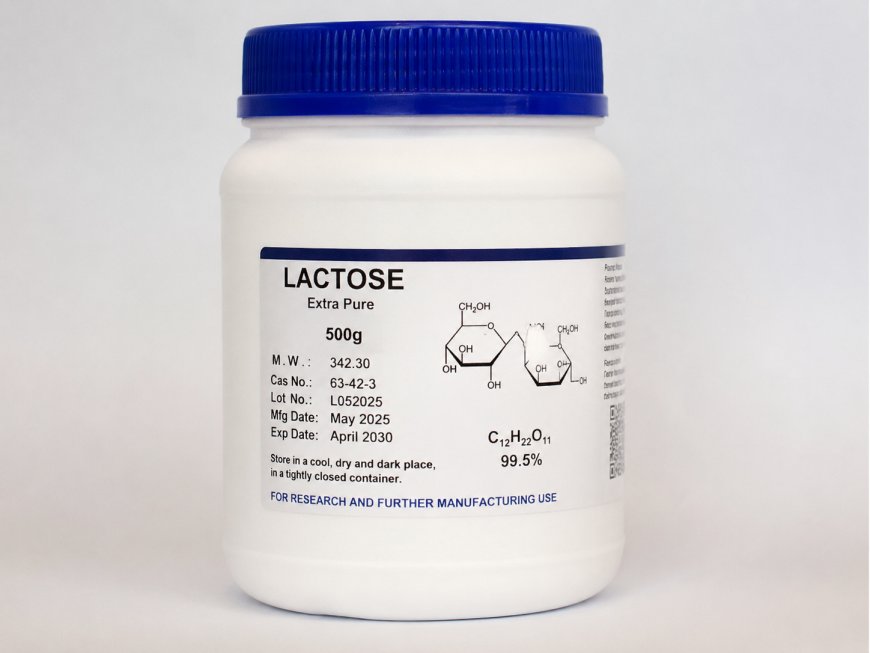 Lactose Price Trend and Forecast 2026: Global Market Analysis and Industry Outlook