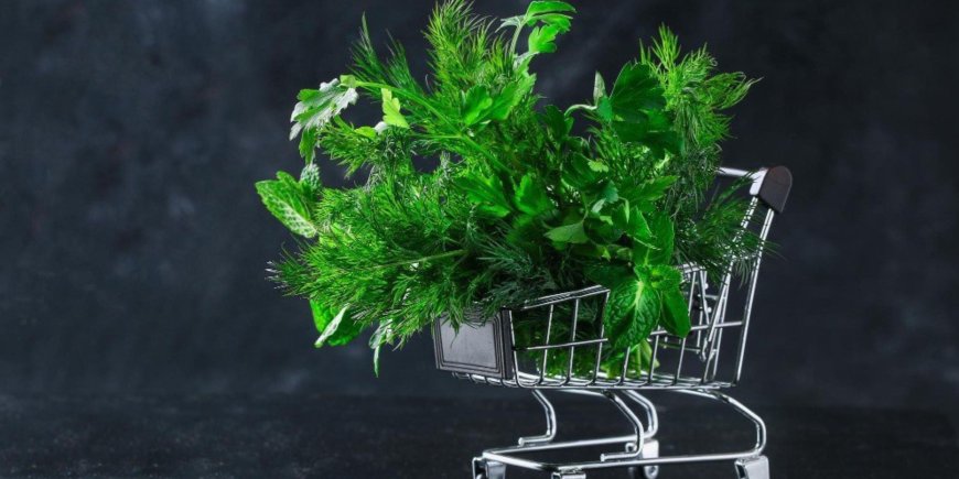 What Makes BC Weed Delivery a Standard Worth Chasing Across Canada?
