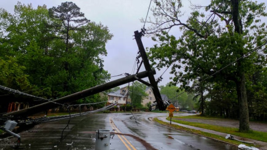 Protecting your property after nature’s unexpected impact