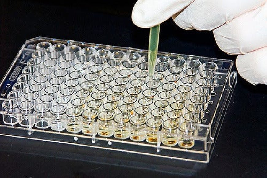 Advanced ELISA Method Innovations Transforming Medical Diagnostics