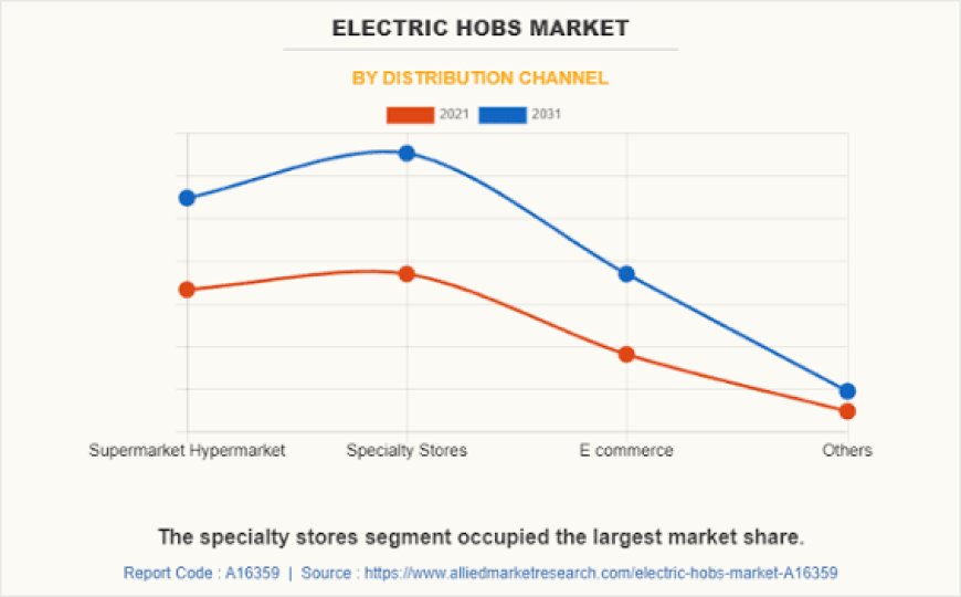 Electric Hob Market Forecast Analysis by Product Type, Distribution Channel, and Region