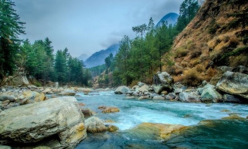 Begin Your Love Story Amidst the Majestic Himalayas
