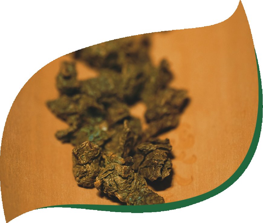 Buy Premium Agarwood Tea Made from Carefully Selected Leaves