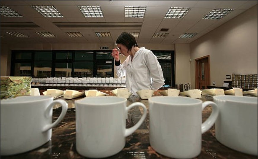 Tea Collections People Love: How to Build a Tasting Flight at Home