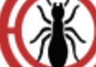 Pest Control for Snakes Near Me: Safe Effective Solutions for Your Property