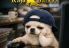 Rajabandot Login Terpercaya dengan Panduan Lengkap
