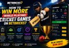 How to Win More While Playing Cricket Games on Betbricks7