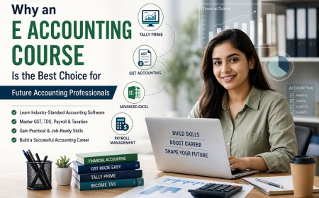 Why an E Accounting Course is the Best Choice for Future Accounting Professionals