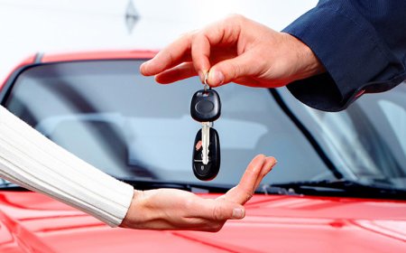 Car Rentals in Providenciales for Family Island Adventures