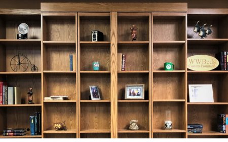 What Are the Best Design Ideas for a Murphy Bed With Bookshelves Setup?