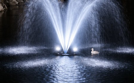 Floating Fountains for Small Ponds Water Feature Enhancement