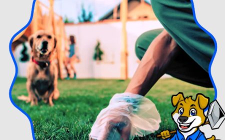 Affordable Pooper Scooper Services for a Cleaner Yard and Happier Pets Across the USA