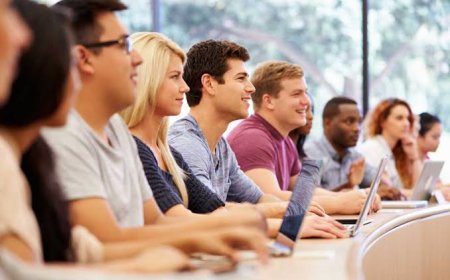 ukprofs: Your Trusted Academic Partner for Assignment, Dissertation, and Thesis Success in the UK
