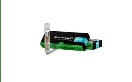 Clean Carts & Clean Carts Disposable: The Complete 2026 Guide to Features, Authenticity, Safety, and Buying Tips