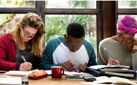 Dissertation Consultant: Expert Guidance for Academic Success in the UK