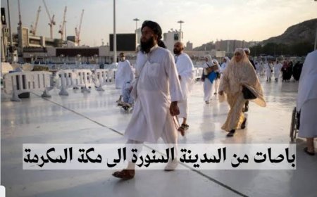 كل ما تبحث عنه في رحلات الباص بين مكة والمدينة