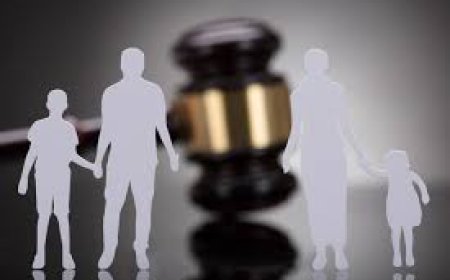 Navigating Child Support Matters with Professional Legal Guidance