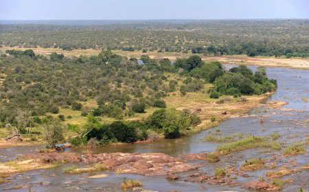 African Travel Presents The 30 Year Anniversary Special Celebrate Three Decades of Luxury Safari Excellence Across South Africa