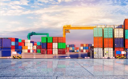 How Logistics IT Consulting Strengthens the Retail Supply Chain with Expert Guidance