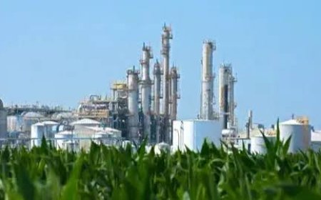 Biorefinery Market Analysis Reveals Emerging Opportunities in Circular Economy and Biomass Utilization