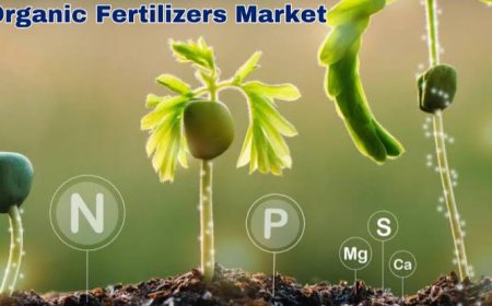 Organic Fertilizers Market Forecast Highlights Expanding Adoption Across Organic Agriculture Worldwide