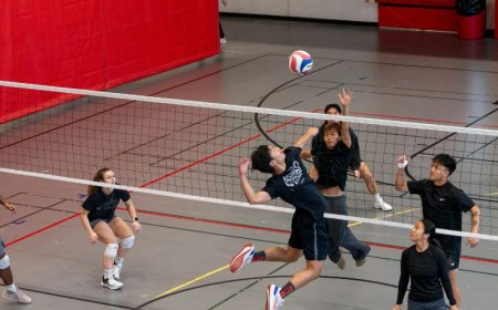 Warum Premium Indoor Padel Kreuzau die beste Wahl für ganzjähriges Spielen ist