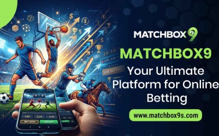 Matchbox9: Your Ultimate Platform for Online Betting