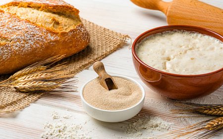 Bread Proofer & Bread Making Kit for Home Bakers