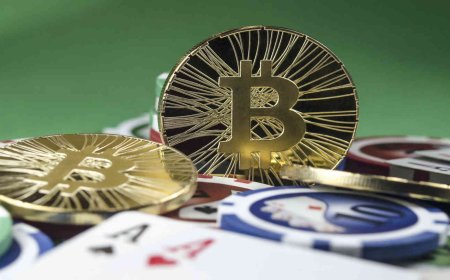 Confronta I Migliori Bitcoin Casino Con Bonus Sicuri Nel 2026