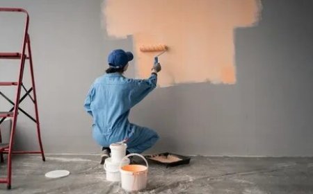 Book Interior Painting Near You for Fast, Affordable Results
