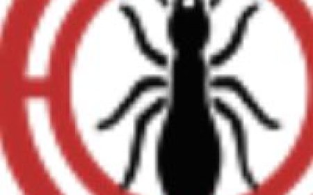 Pest Control for Snakes Near Me: Safe Effective Solutions for Your Property