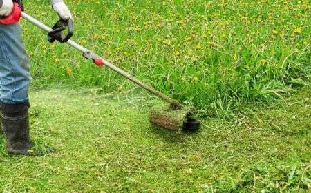 Why Lethbridge Homeowners Are Booking Lawn Care Before Small Problems Become Big Ones