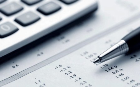 What Happens If You Ignore IRS Notices? A Step-by-Step Guide to the Collection Process