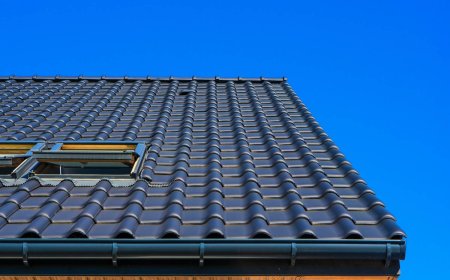 Professional Roofing Services Across Haywards Heath, Shoreham, Horsham & Worthing