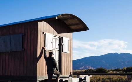 A Tiny House Kit Won't Save You From the Rulebook