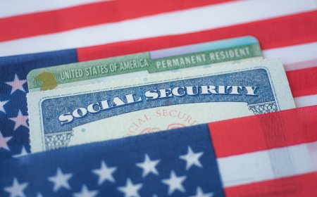 Green Card Replacement After Loss Theft or Damage Explained