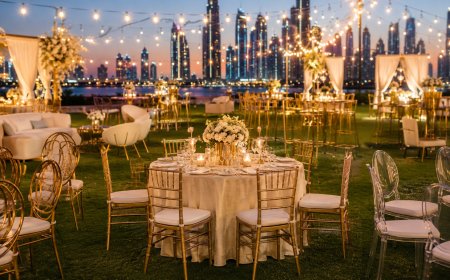 Chair Rental Dubai: The Complete Guide to Choosing the Right Event Chairs