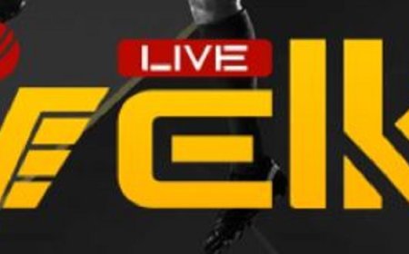 Top Best Choice for Discerning Casino Players VELLKI in Bangladesh