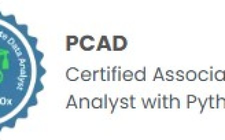 PCAD Certification Syllabus | Full Course Outline