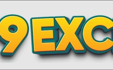 My99exchange: The Best Cricket Betting ID Provider in the Market