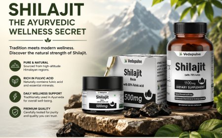 Shilajit Capsules: An Easy Way to Include Ayurveda in Your Daily Routine