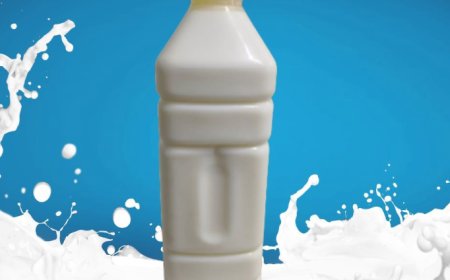 Raw Camel Milk | Premium Farm Fresh Camel Milk | a2milkuae