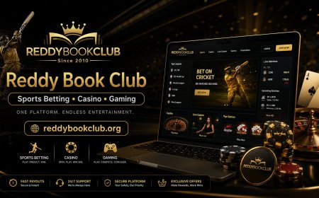 Reddy Book Club Review: Cricket, Sports Betting, and Casino Games