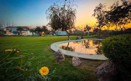 10 Best Wedding Venues in Noida for Elegant Weddings & Receptions