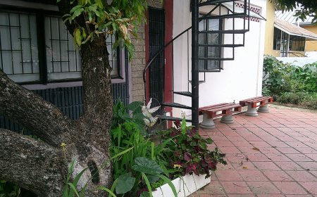 Places to Stay in Port of Spain: Find the Right Accommodation for Your Trip
