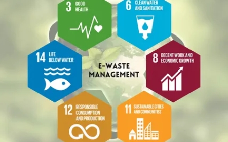 Sustainable Rubbish Removal: Where Your Waste Goes and Why It Matters