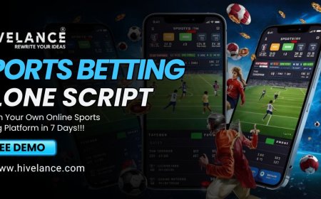 Is a Sports Betting Clone Script Customizable? Here's What You Can Change