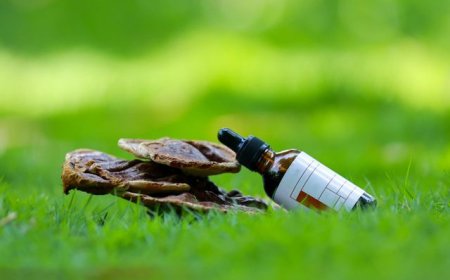 Mushroom Extract Supplements | Benefits & Buying Guide