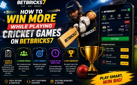 How to Win More While Playing Cricket Games on Betbricks7